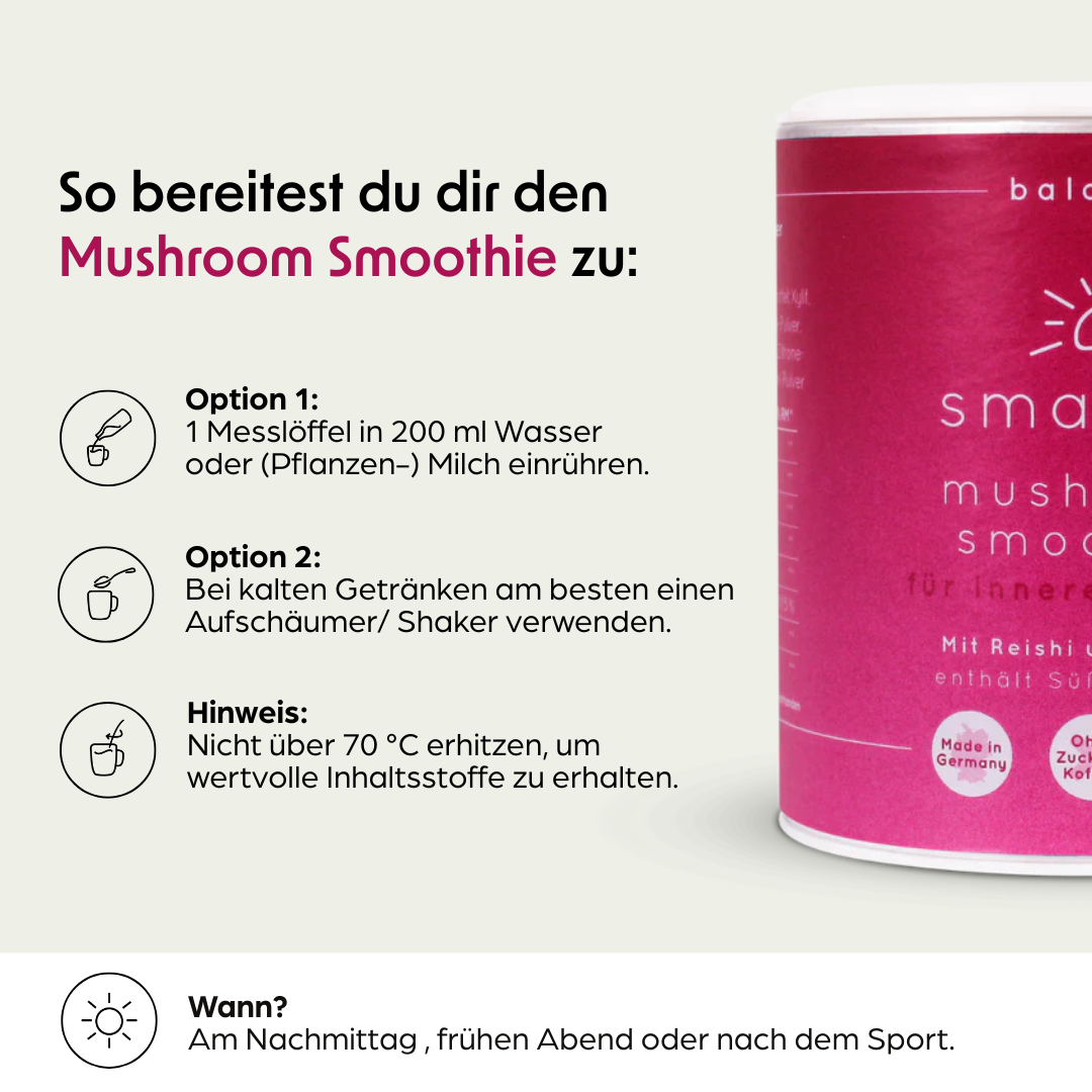 Mushroom Smoothie mit Reishi und Maitake
