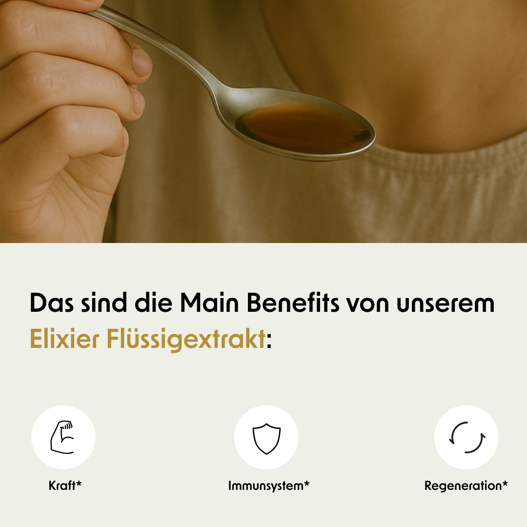 Elixir liquid extract with 7 medicinal mushrooms