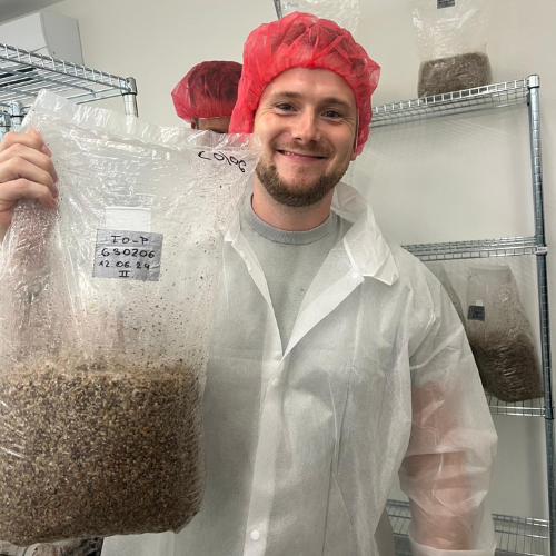 Chaga Dübel.png__PID:f338790c-3681-432e-accc-808515814060