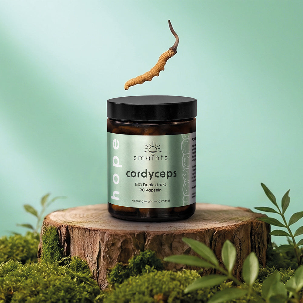 3er Angebot Bio Cordyceps Extrakt Kapseln