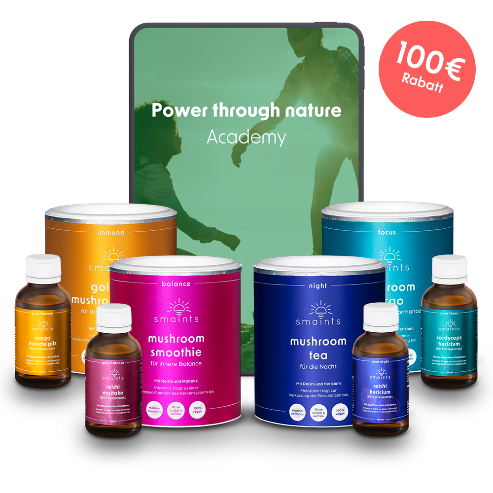 Mega Bundle 2.0 inkl. Academy - Forest Week Deal