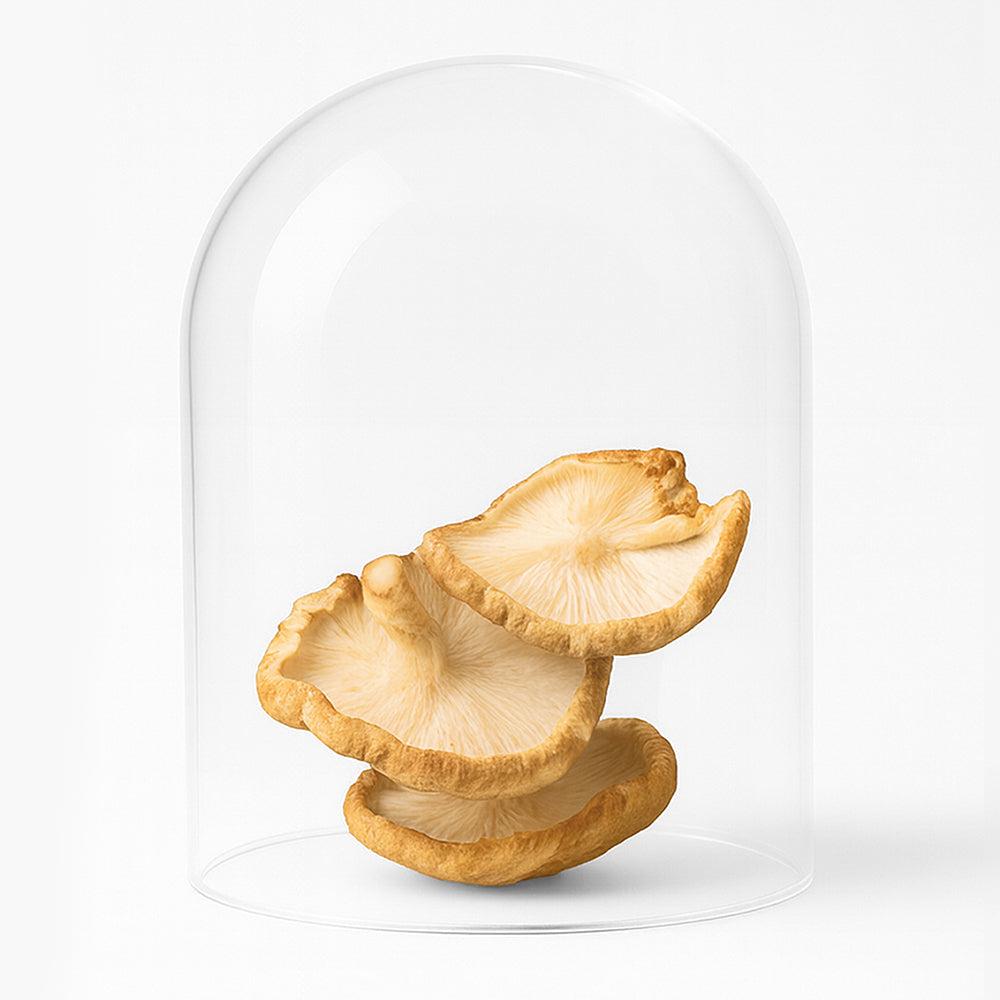 Golden Mushroom Milk 2.0 mit Chaga und Shiitake 210g