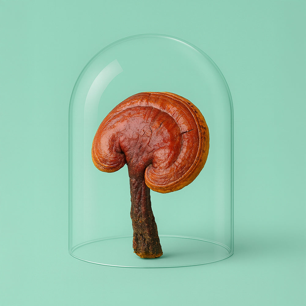 Schilddrüsen Komplex