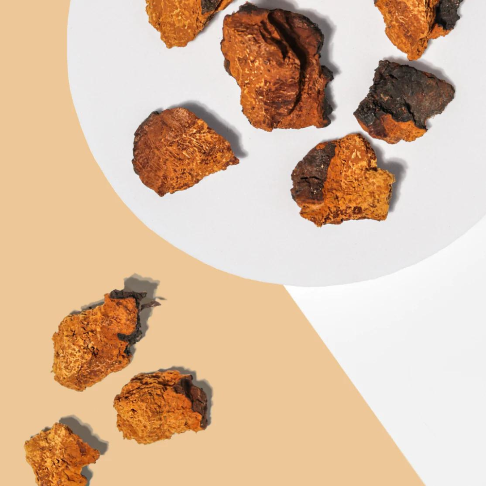 Bio Chaga Brocken aus Finnland