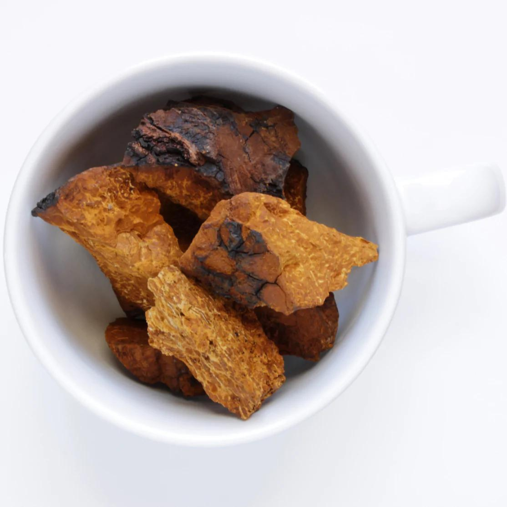 Bio Chaga Brocken aus Finnland