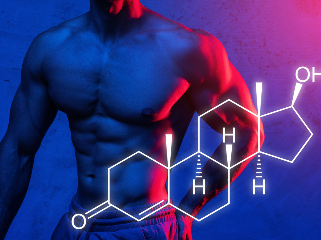 Natürliche Wege zur Steigerung des Testosteronspiegels mit Vitalpilzen