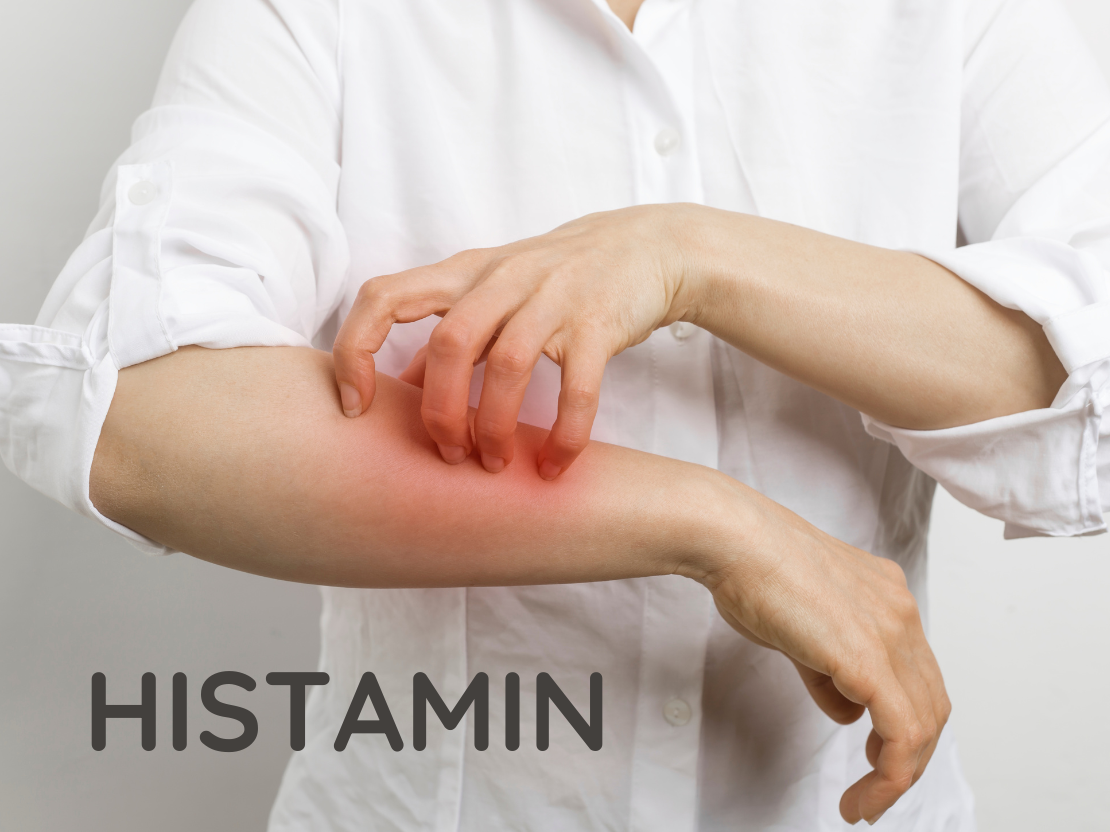 Histaminintoleranz & Vitalpilze - so können sie helfen