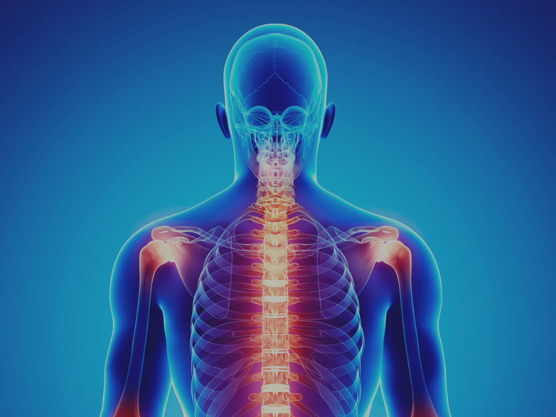 Reishi und Chaga bei chronischen Entzündungsprozessen