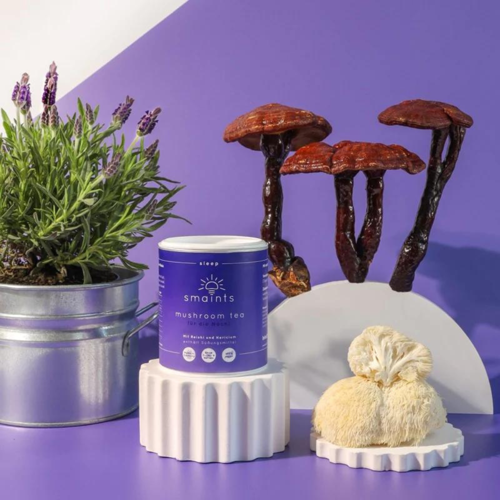 smaints Mushroom Tea 3er Pack Neukunden-Angebot