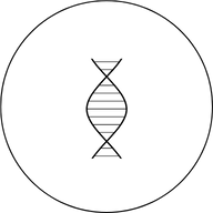 Adaptogene Eigenschaften
