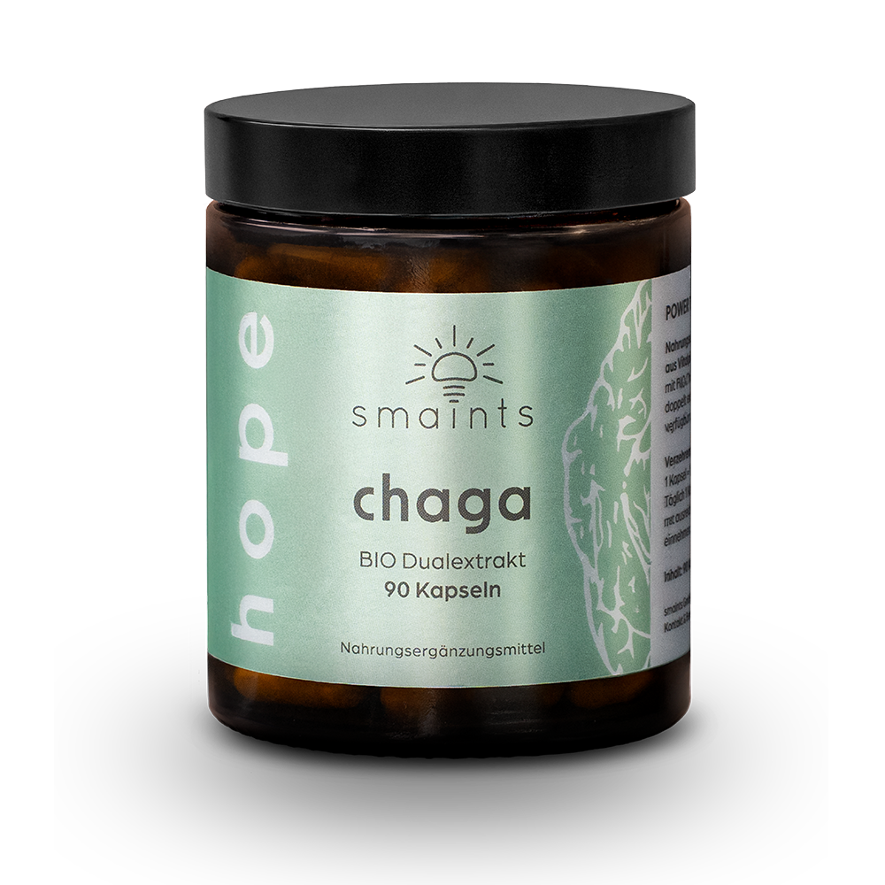 Chaga Kapseln