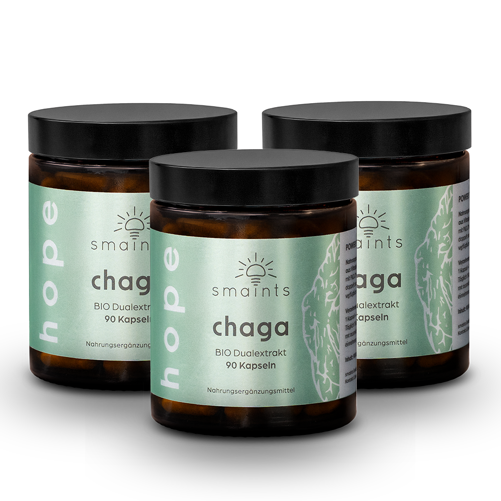 3x Bio Chaga Extrakt Kapseln