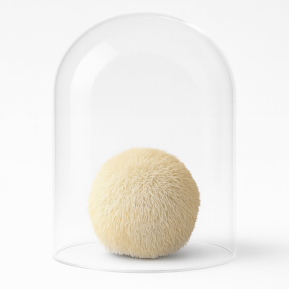 Pure Focus Flüssigextrakt mit Cordyceps und Hericium