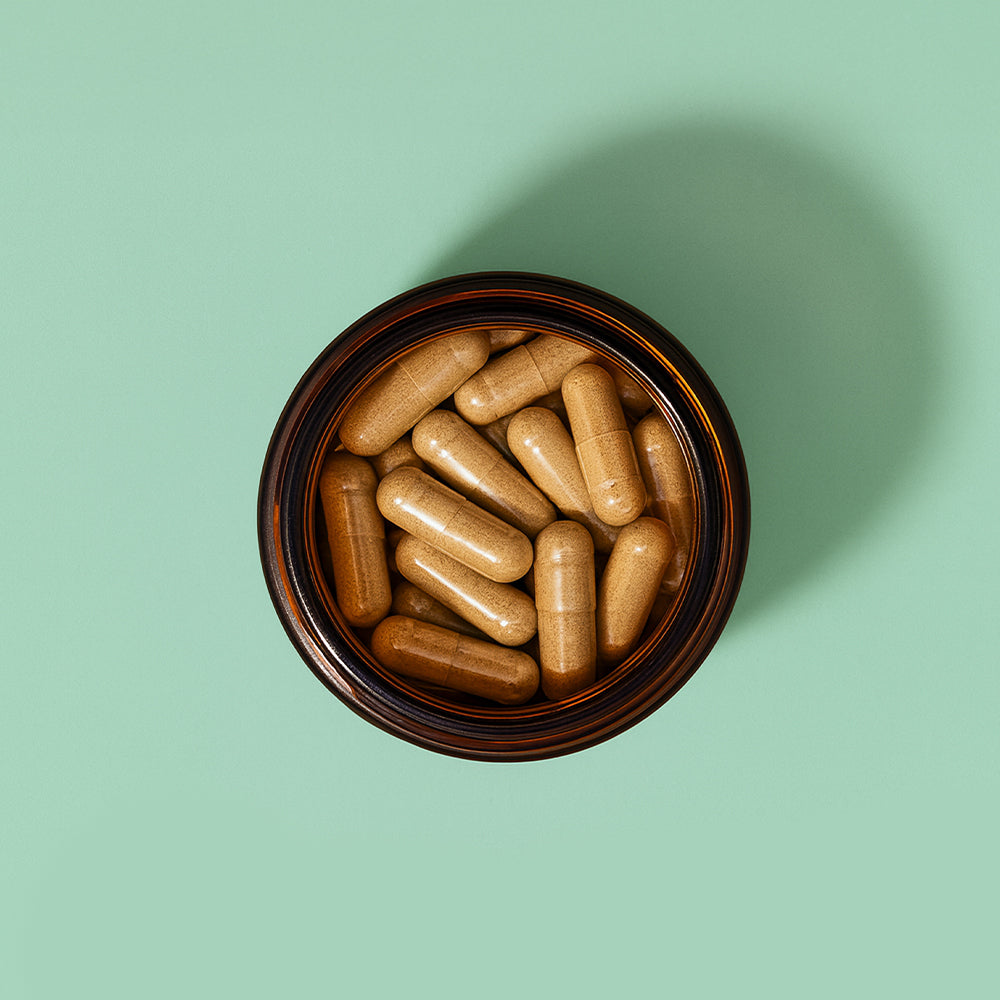 Immune Kur 3 Monate | Chaga und Shiitake Kapseln