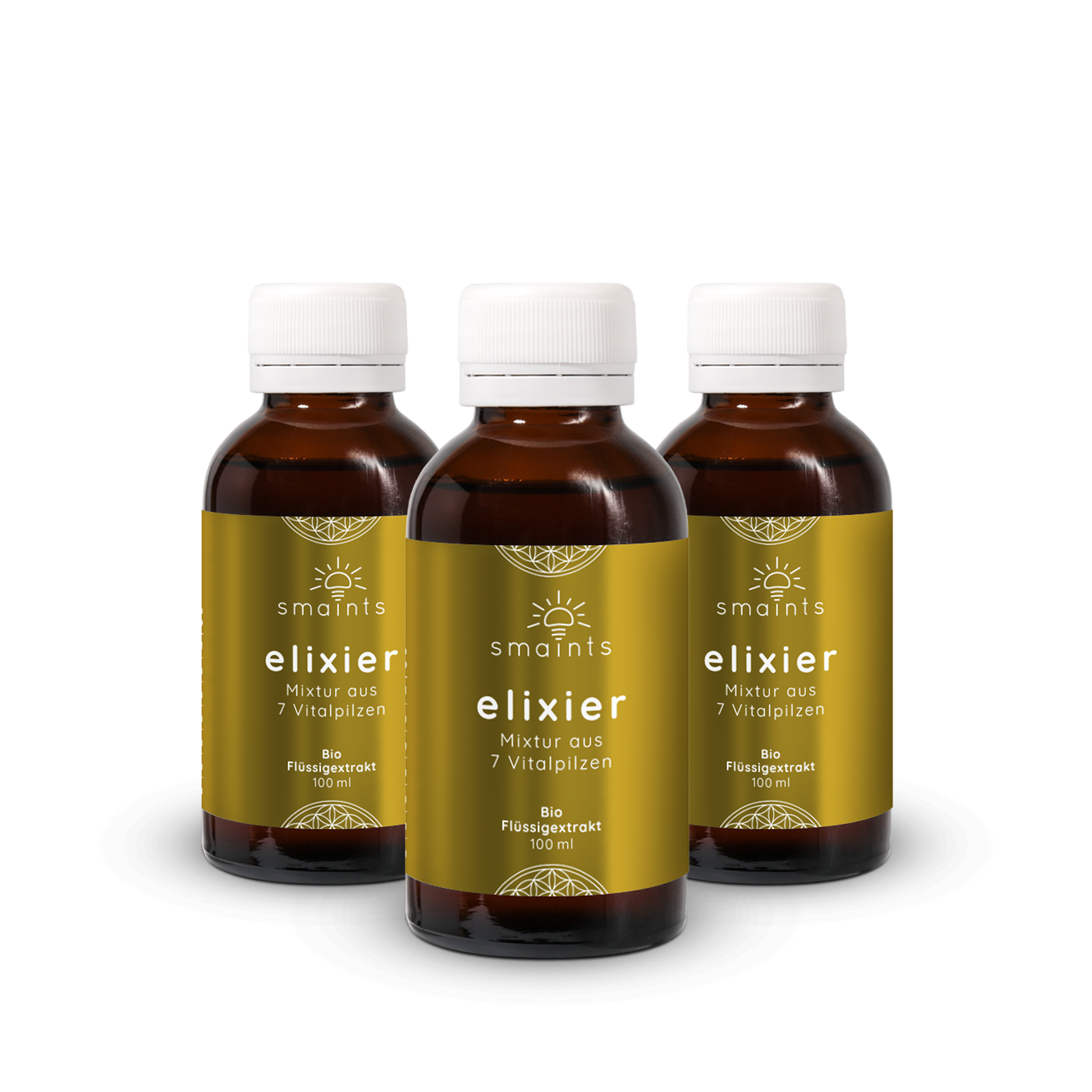 Elixier Flüssigextrakt mit 7 Vitalpilzen