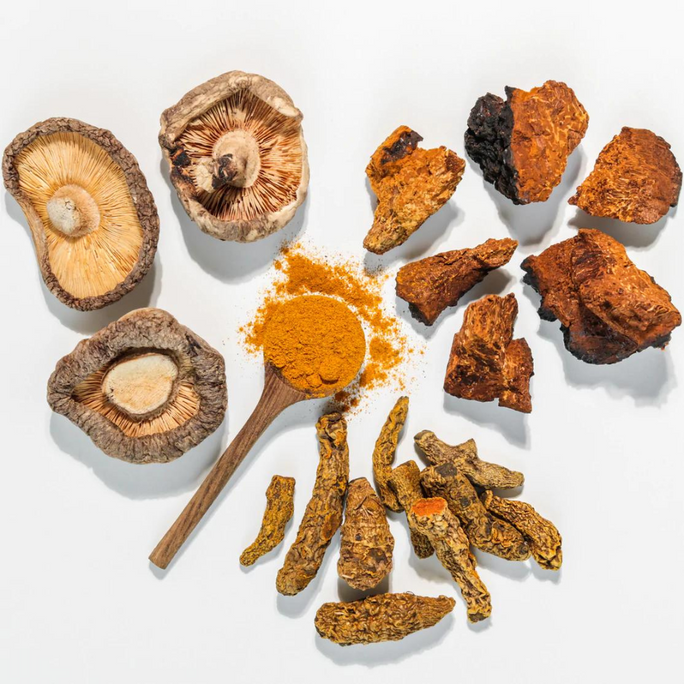 Pure Immune Flüssigextrakt mit Chaga und Agaricus