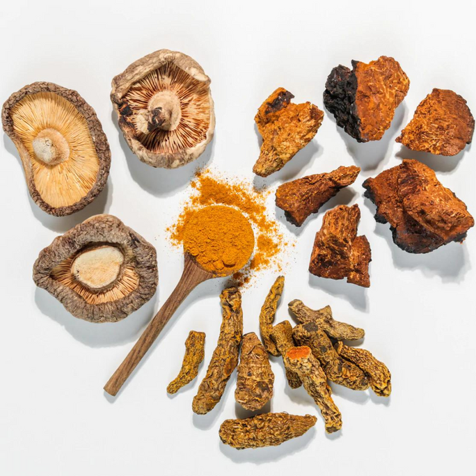 Immune Bundle inkl. Kurs 